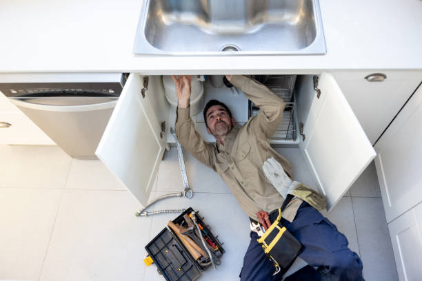 Best Plumbing Inspection Services  in Skyline Ganipa, NM